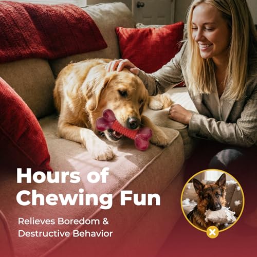 2-Pack Tough Dog Toys for Aggressive Chewers: Beef Flavored Long Lasting Dog Bones for Large Dogs, Heavy Duty Nylon & Rubber Dog Chew Toys to Keep Them Busy, Medium & Large Breed, Red - color: 2 PC-Beef-Red