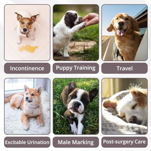Paw Legend Washable Dogs Diapers Male Dog Belly Bands for Male Dogs Diapers Reusable Puppy & Doggie Diapers Male - color: Purple Grey, Green, Brown, size: X-Small