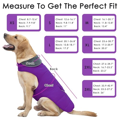 Petglad Dog Coat, Waterproof Dog Winter Jacket with Pocket, Reflective Adjustable Pet Snow Vest, Warm Cozy Fleece Sweater for Small Medium Extra Large Dogs - Purple, 3XL - color: Purple, size: 3XL(Chest Girth:33.9-42.9")