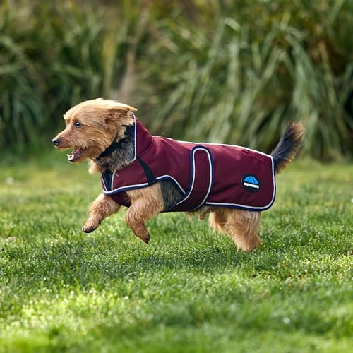 WeatherBeeta ComFiTec Premier Deluxe Waterproof Dog Coat, Burgundy/Navy, 20" - color: Burgundy/Navy, size: 20"