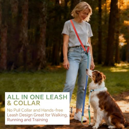 QQPETS Adjustable Slip Lead Dog Leash, Hands Free Waist Leash for Dog Walking, Reflective Training Lead with 360° Swivel Anti-Tangle, 4-7 ft Length for All Breeds - color: Vibrant Gradient