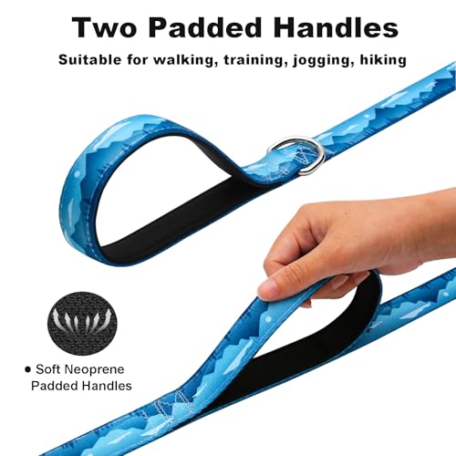 4ft Dog Leash with Two Padded Handles, Heavy Duty Strong Nylon Pet Leash with Soft Neoprene Handle for Small Medium Large Dogs, Blue Sunset - color: Blue Sunset, size: 1 in x 4 ft