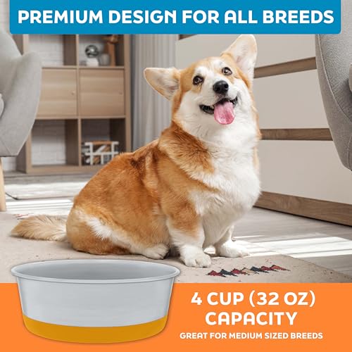 Master Pet Supply Stainless Steel Dog Bowls Set of 2 with Extra Thick Silicone Base - 4 Cup (32 oz) Mango Tango, Non-Slip, Dishwasher Safe Metal Bowls, Pet Dog Food Bowl for Dogs, Cats, Anti Rust - color: Mango Tango, size: 4 Cups (32 oz) 2 Pack