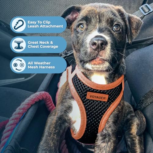 Best Pet Supplies - All Weather Mesh, Reflective, No Pull Harness for Small, Medium Dogs, Cats - Secure with Hook & Loop Fastener, Buckle, Double D-Rings - Orange Trim, XS