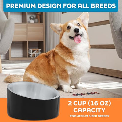 Master Pet Supply Stainless Steel Slanted Dog Cat Food Bowl - 16 oz Heavy Duty - Black Velvet, Double Wall Insulated, Non-Slip Elevated Bowl for French Bulldogs Pugs Cats, Anti Rust Dishwasher Safe - color: Black Velvet, size: 2 Cups (16 oz)