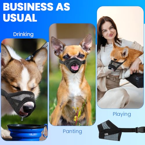 3pack Dog Muzzle Suits for Small Medium Large Dogs, Drinkable Breathable Mouth Guard, Adjustable Strap Soft Dog Muzzle to Prevent Biting Chewing, Air Mesh Muzzles for Scavenging Licking (XS+S+M)