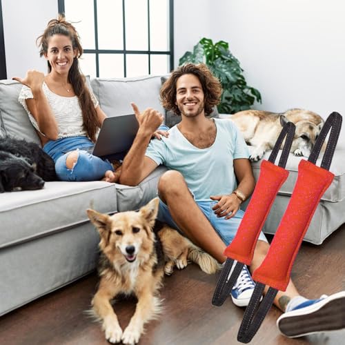 Clysoru Dog Tug Toy Double Pack Tough Jute Bite Pillow Training Equipment Puppy to Large Dogs Interactive - color: red green