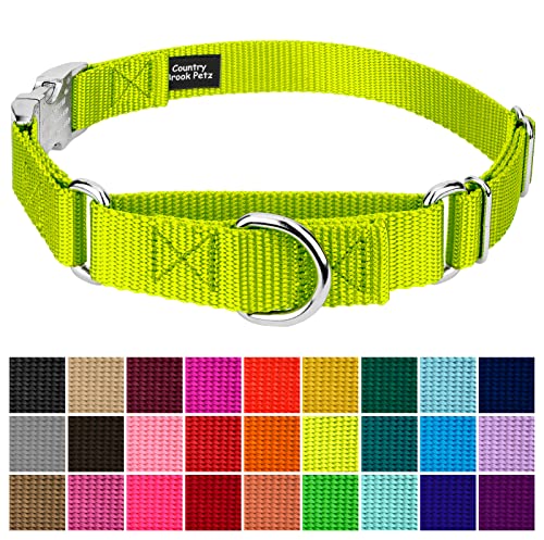 Country Brook Petz - Martingale Dog Collar - Heavy Duty Nylon Adjustable Martingale Dog Collar with Premium Buckle for Small Medium Large Breeds (5/8 Inch, Extra Small, Hot Yellow) - color: Hot Yellow, size: Extra Small (Pack of 1)