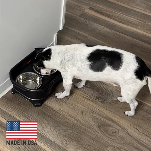 Neater Feeder Express Mess Proof Dog Bowls Elevated for Small Breeds Under 15 Lb, Made in USA, No Spill Raised Dog Food Bowl Stand, Stainless Steel Food and Water Bowl Set, Feeding Station, Black - color: Midnight Black, size: Small w/ Standard Bowls