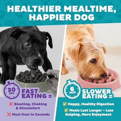 Outward Hound Fun Feeder Slo Bowl – Small 3/4-Cup Capacity,Slow Feeding,Small Dogs,Puppies & Cats,Non-Slip,Pink,Wave Pattern,(Pack of 12) - color: Pink, size: Small (Pack of 12)