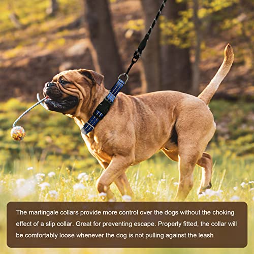 Hikiko Martingale Collar for Dogs Reflective Nylon Dog Collar with Quick Release Buckle Adjustable Training No Slip Dog Collars (Medium, Blue) - color: Blue, size: Medium
