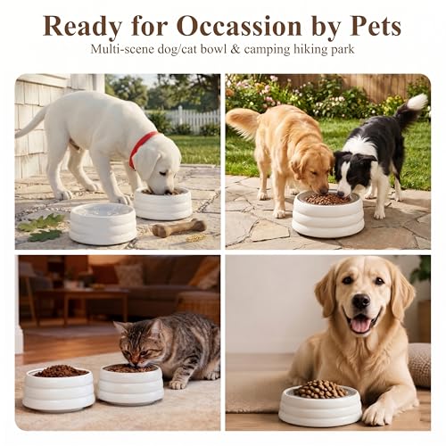 BOBO & Bowl Pet Drinking Bowl (1.2L/40 oz), Food-Grade Ceramic Water Bowl for Small & Medium Dogs - Elevated, Heavy Sturdy, Dishwasher & Microwave Safe, Black - color: White