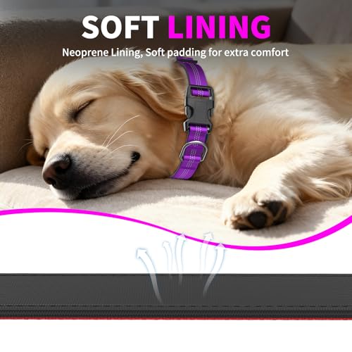 Reflective Dog Collar with Buckle, Heavy Duty Dog Collars with Soft Padded, Adjustable, Ultra-Durable, Pet Collar for Small Medium and Large Dogs (Purple, S) - color: Purple, size: S (12-18'')