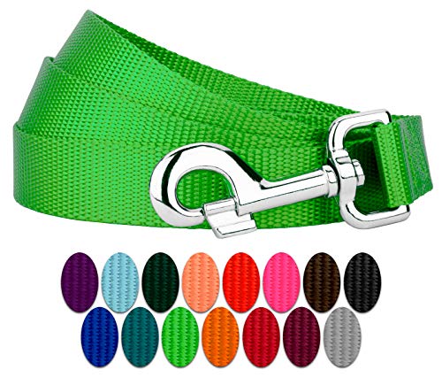 Country Brook Petz - Vibrant 17 Color Selection - Heavyduty Doublehandle Nylon Leash (6 Foot, 3/4 Inch Wide, Hot Lime Green) - color: Hot Lime Green