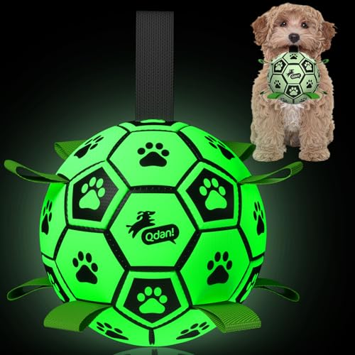 QDAN Premium Dog Ball, Glow in The Dark Dog Toys, Light Up Soccer Ball for Dogs, Outdoor Dog Toys, Doggy Water Toy, Puppy Birthday Gifts for Small Medium (6 Inch) - color: Glow in the dark II, size: Medium