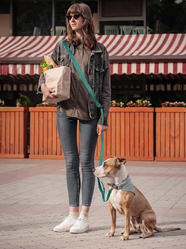 Hands Free Dog Leash, 5.9-8.2ft Multifunctional Crossbody Rope with Explosion-Proof Handle and Adjustable Training Hands Free Leash for Medium Dog Walking Running Hiking Travel Blue-Green - color: Teal