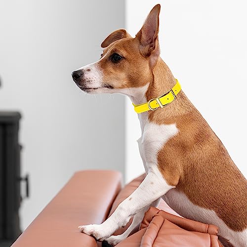 Viper Biothane Heavy Duty Waterproof Dog Collar Strong Coated Nylon Webbing w/Solid Brass Hardware Odor-Proof for Easy Care to Clean High Performance Fits Small Medium or Large Dogs, Lemon Yellow