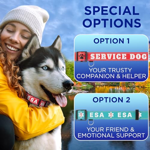 TECEUM Reflective Dog Collar – Navy Blue – S – Extra Soft Padding – Basic Nylon Pet Collar – Quick Release Buckle – Fits Small, Medium and Large Dogs, Puppies, Cats – ESA & Service Dog Options - color: Navy blue, size: Small