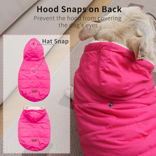 Vecomfy Fleece Lining Extra Warm Dog Hoodie in Winter,Small Dog Jacket Puppy Coats with Hooded Pink XS - color: Pink, size: X-Small (Pack of 1)