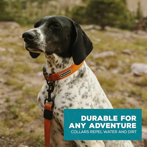 Wilderdog Waterproof Dog Collar - Repels Water & Dirt - Medium 13"-18" - Terracotta - color: Terracotta, size: Medium