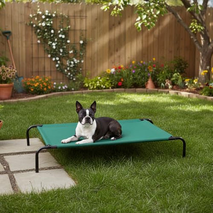 Amazon Basics Cooling Breathable Elevated Dog Bed with Metal Frame for Large Dogs, 51" x 31" x 8", Green, Easy to Assemble - color: Green, size: Large