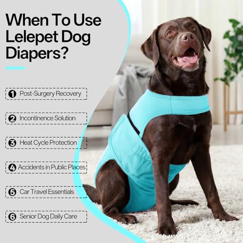 Lelepet Female Dog Diapers for Heat, Reusable Dog Period Onesie, Washable Dog Panties with Suspender, Soft Adjustable Small Girl Doggy Belly Band with Hole Tail, Blue, XS - color: Blue, size: XS