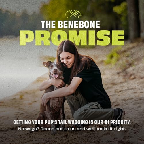 Benebone Natural Rubber Dog Bone Chew Toy, Natural Rubber - size: 1 Pack, style: Bone