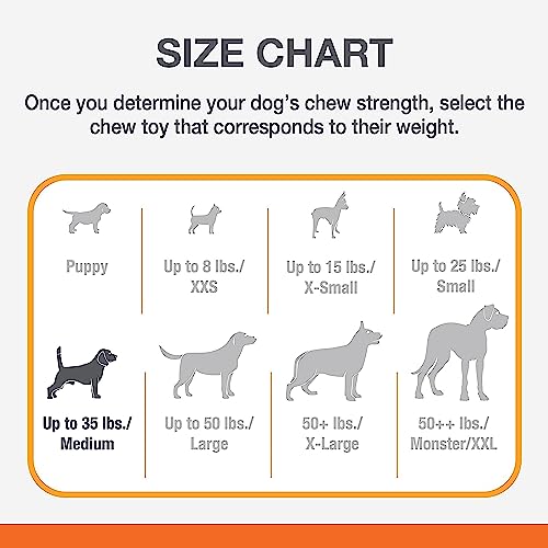 Nylabone Power Chew Knuckle Bone Pop-In Treat Toy for Dogs, Interactive Treat Dispensing Dog Chew Toys to Keep Them Busy, Slow Feeder, Long Lasting Chicken Flavor, Medium Dogs - Up to 35 lbs - size: Medium