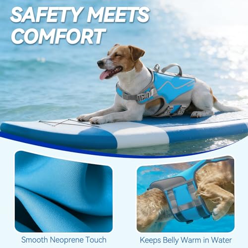 VIVAGLORY Neoprene Dog Life Vest, Dog Life Jacket for Swimming & Boating, Buoyancy & Comfort for Puppy Doggy, Swimming Vest with Handle, M, Cyra Blue | High Visibility Adjustable for Doggy Cat Puppy, Lifejacket with Leash Ring & Handle for Swimming & Boat