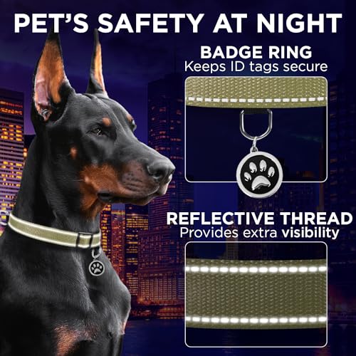 TECEUM Reflective Dog Collar – Olive – XS – Extra Soft Padding – Basic Nylon Pet Collar – Quick Release Buckle – Fits Small, Medium and Large Dogs, Puppies, Cats – ESA & Service Dog Options - color: Olive, size: X-Small