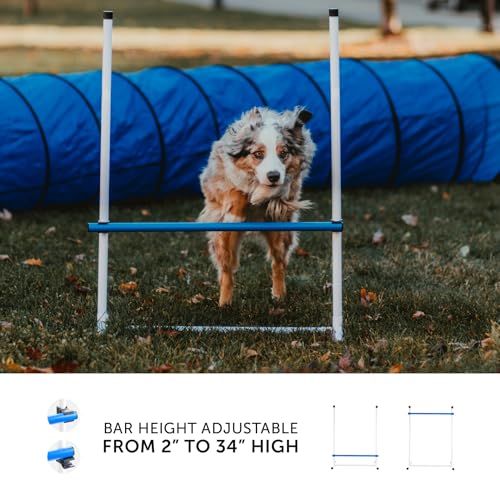 Better Sporting Dogs Complete Starter Agility Set for Dogs, 5 Piece | Agility Jump, Tire Jump, Weave Poles, 10' Tunnel with Sandbags, Pause Box