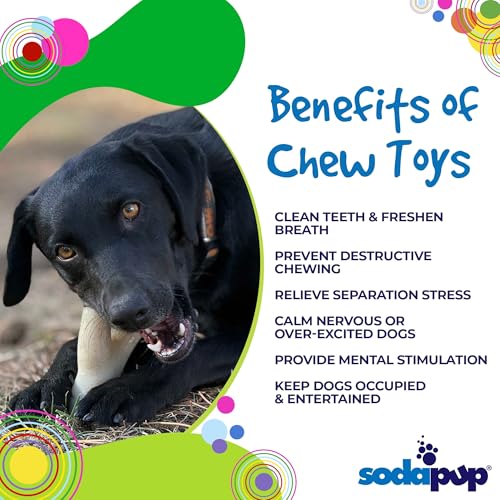 SodaPup Ever Antler – Durable Dog Chew Toy Made in USA from Non Toxic Pet Safe Food Safe Nylon Material for Mental Stimulation, Clean Teeth, Fresh Breath, Problem Chewing, & More - color: Brown Ever Antler