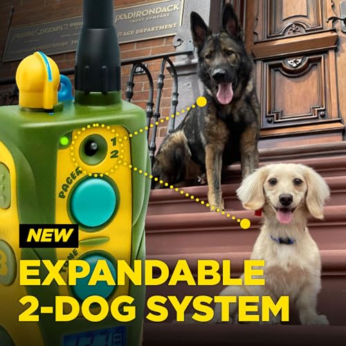Dogtra E-Collar Tom Davis 280C 2.0 [2025 Edition], Boost & Lock, Waterproof, 1/2-Mile Range Dog Training Collar with Remote, Rechargeable, 127 Levels, Vibration, Bungee, No Bad Dogs Trainers - color: Tom Davis 280C 2.0