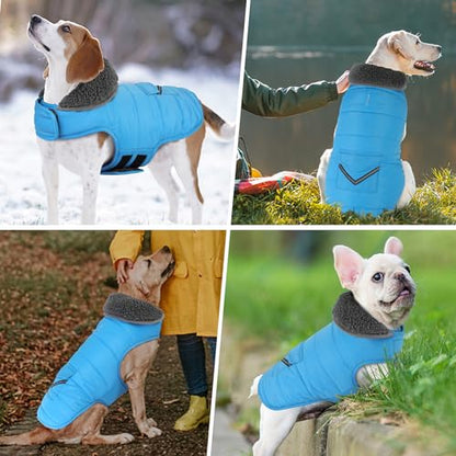 Petglad Dog Coat, Waterproof Dog Winter Jacket with Pocket, Reflective Adjustable Pet Snow Vest, Warm Cozy Fleece Sweater for Small Medium Extra Large Dogs - Sky Blue, L - color: Sky Blue, size: L(Chest Girth:20.1-26.8")