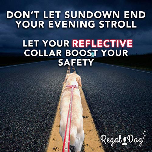 Regal Dog Products Small Yellow Reflective Dog Collar with Custom Engraved Name Plate and Heavy Duty Center Ring | Waterproof Biothane Personalized Dog Collars - Other Sizes for Medium & Large Dogs - color: Yellow, size: Small