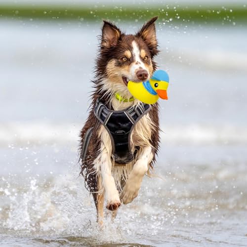 Squeaky Dog Toys, Floating Dog Toys for Indoor or Outward Play, Interactive Dog Gifts for Small and Medium Dogs - Yellow Duck - style: B-Duck