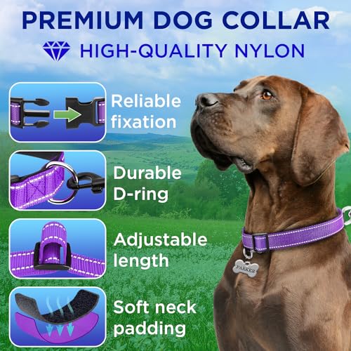 TECEUM 3 Pack Reflective Dog Collar – Purple&Red&Teal – M – Extra Soft Padding – Basic Nylon Pet Collar - color: Purple&Red&Teal, size: Medium