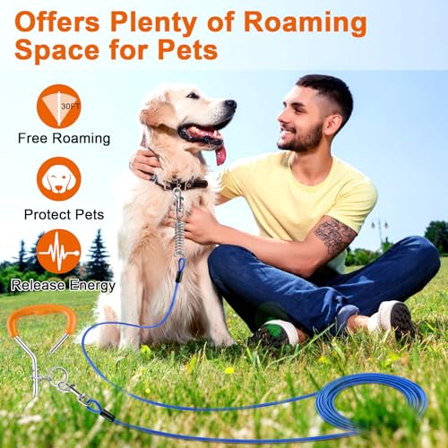 LANNEY Dog Tie Out Cable and Stake, 30ft Leash Chain Lead with Swivel Hook and Shock Spring for Yard Outside Camping, 16 inch Heavy Duty Spiral Ground Stake for Medium Large Dogs Up to 125 Lbs
