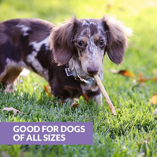 Wild Eats Real Duck Collagen Bully Sticks for Dogs (25 Pack,5 Inch) Long Lasting Dog Chews No Hide Dog Treat Bully Stick Alternative, Rawhide Free, Grain Free, High Protein - size: 5.7 Ounce (Pack of 25)