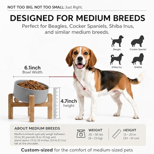 hjn Elevated Ceramic Dog Bowl 15°Slanted Raised Dog Bowl with Bamboo Stand for Small Medium Dogs and Cats, Pet Feeder-3.6-Cup (850ml)-Gray - color: Misty Gray, size: 3.6Cup