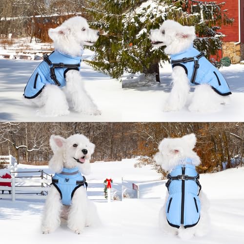 Gyuzh Dog Coat with Harness,Dog Winter Coat Jackets,Winter Waterproof Dog Coat Warm Cold Weather Dog Coat with Harness Built in for Small Medium Large Dogs - color: blue, size: X-Large
