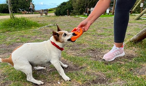 Van Ness Pets Doggi Catch and Carry Flying Disc Floating Dog Toy, Small, Orange - size: Small