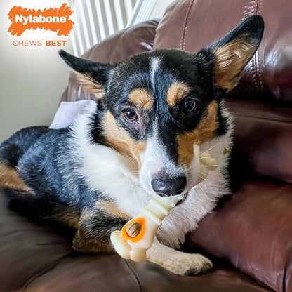 Nylabone Knuckle Bone Pop-in Treat Toy Power Chew Toy with 30 Refills, Interactive Treat Dispensing Enrichment Toys for Dogs, Long Lasting Chicken Flavor, Medium Dogs - Up to 35 lbs, 2 Pack - size: Medium