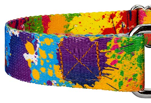 Country Brook Petz - Paint Splatter Martingale Dog Collar - Groovy Collection Featuring Far Out Designs (1/2 Inch, Extra Small) - color: Paint Splatter, size: Extra Small (Pack of 1)