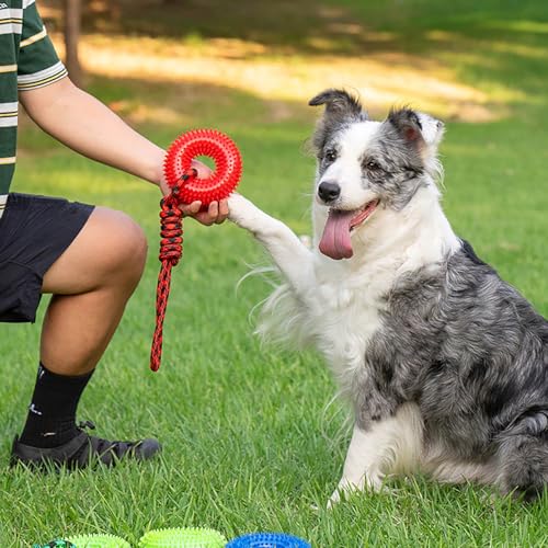 Dog Toys Squeaky - Spiky Ring for Chewers Dog Teething Toy with Rope, Squeaky Puppy Teething Spikey Glitter Ring Chew Toy, Aggressive Chew Indestructible for Puppy Teething Boredom Relief (Red 1) - color: Red 1