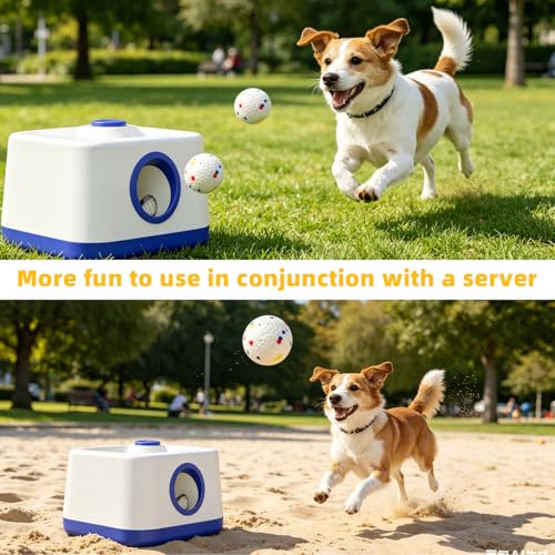 6 Pack Dog Toy Ball, 2.3 Inch ETPU Material, Automatic Ball Transmitter Replacement Ball, Suitable for Small and Medium Dogs, Suitable for 2.3 Inch Automatic Dog Ball Launcher - color: White