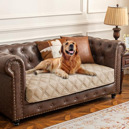 Ameritex Waterproof Dog Bed Cover Pet Blanket with Anti-Slip Back for Furniture Bed Couch Sofa - color: Beige, size: 30x53 Inch (Pack of 1)