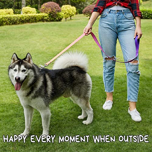 Roses&Poetry Reflective Small Dog Collar and Leash Set, Puppy Leashes with Collars, Adjustable Durable Matching Nylon Pet Collar Leash for Walking,Playing,Training (Azure-XS) - color: Azure, size: XS