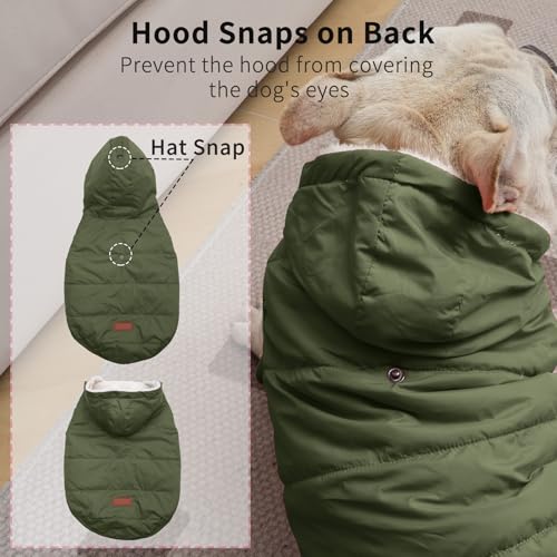 Vecomfy Fleece Lining Extra Warm Dog Hoodie in Winter,Small Dog Jacket Puppy Coats with Hooded Green XS - color: Green, size: X-Small (Pack of 1)