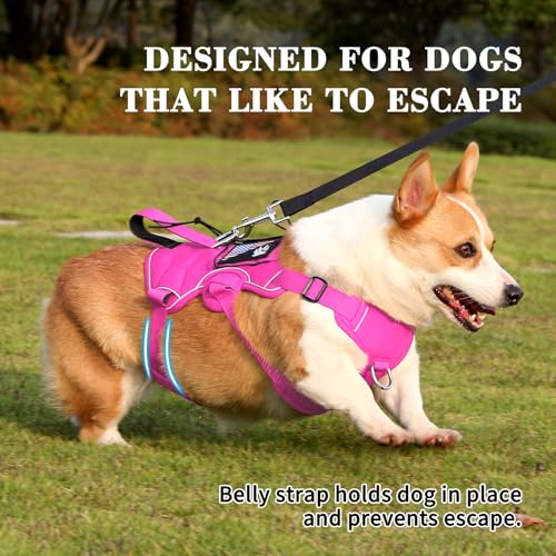 VOOPET Escape Proof Dog Harness, Soft Padded Full Body Pet Harness, Reflective No Pull Dog Harness with Handle and 2 Leash Clips for Large Dogs Walking Hiking Training (Rose Pink,XL)